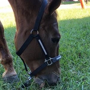 Meet your Posher, Nashi